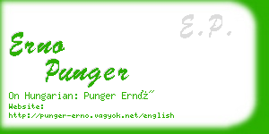 erno punger business card